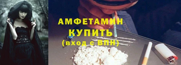 стаф Магас