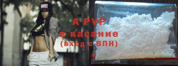 стаф Магас