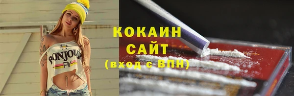 стаф Магас