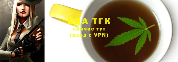 стаф Магас