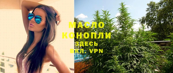 стаф Магас