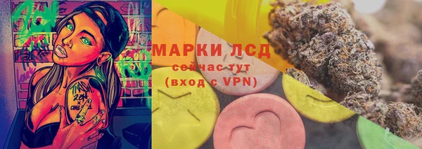 стаф Магас