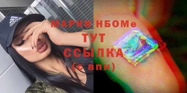 стаф Магас