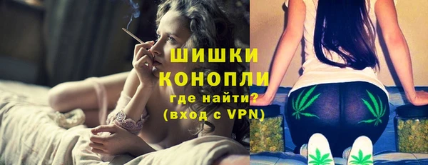 стаф Магас