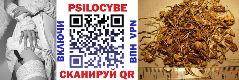 Купить закладки  Джанкой  Псилоцибиновые грибы ЛСД 
